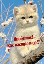 Гардалоева Хеди Мовсаровна