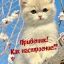 Гардалоева Хеди Мовсаровна